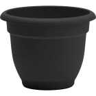 Bloem Ariana 10 In. Black Planter Image 1
