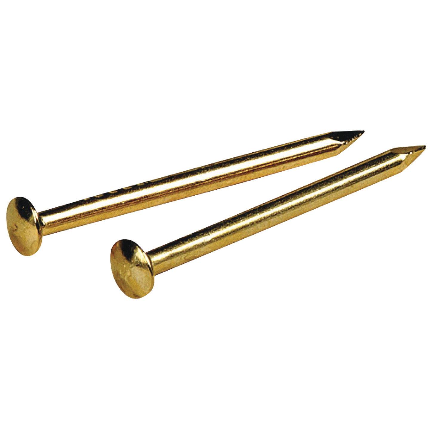 Hillman Anchor Wire 1 In. 16 ga 1.5 Oz. Brass Plated Steel Escutcheon Pins Image 1