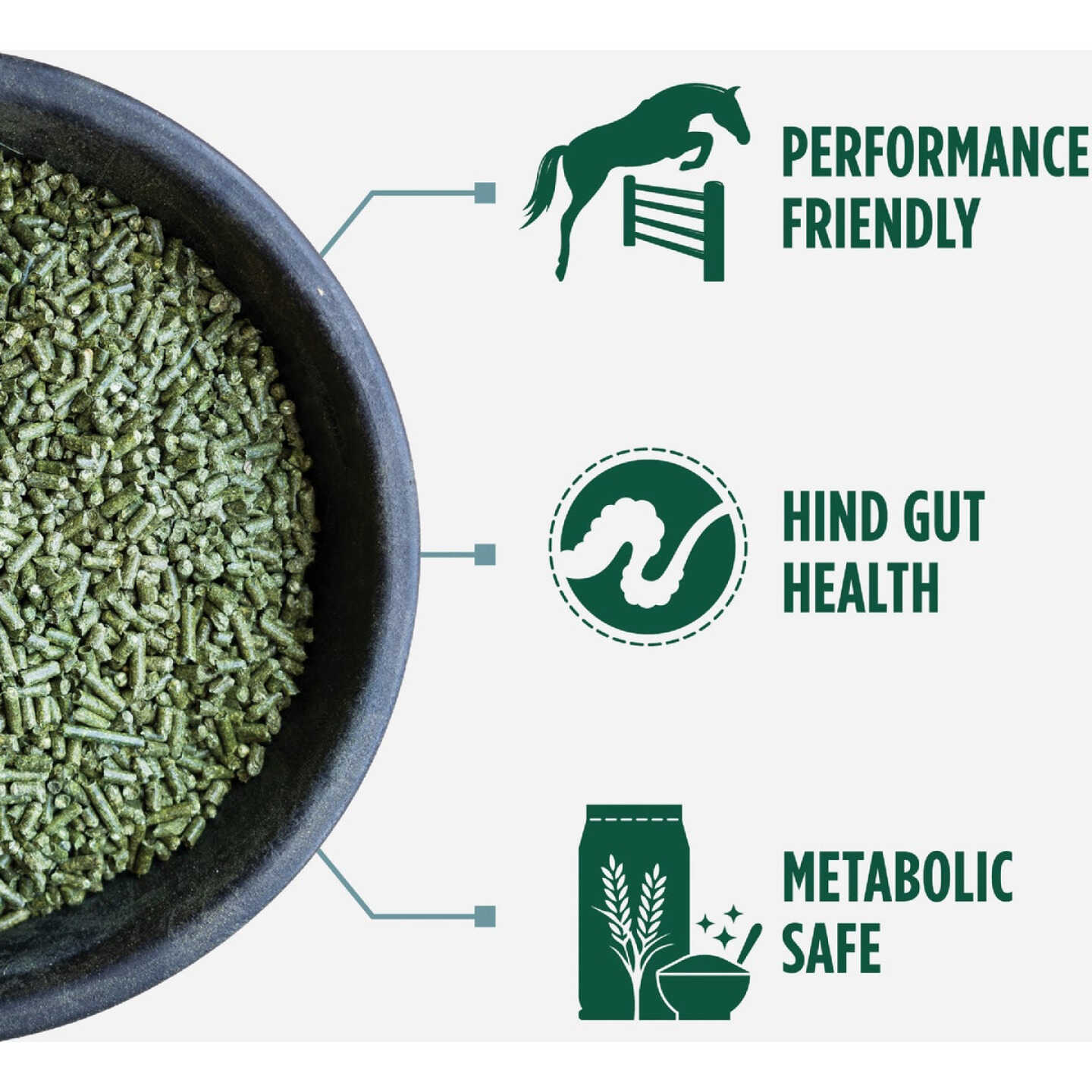 Standlee Premium Western Forage 40 Lb. Premium Alfalfa & Timothy Pellets Image 2