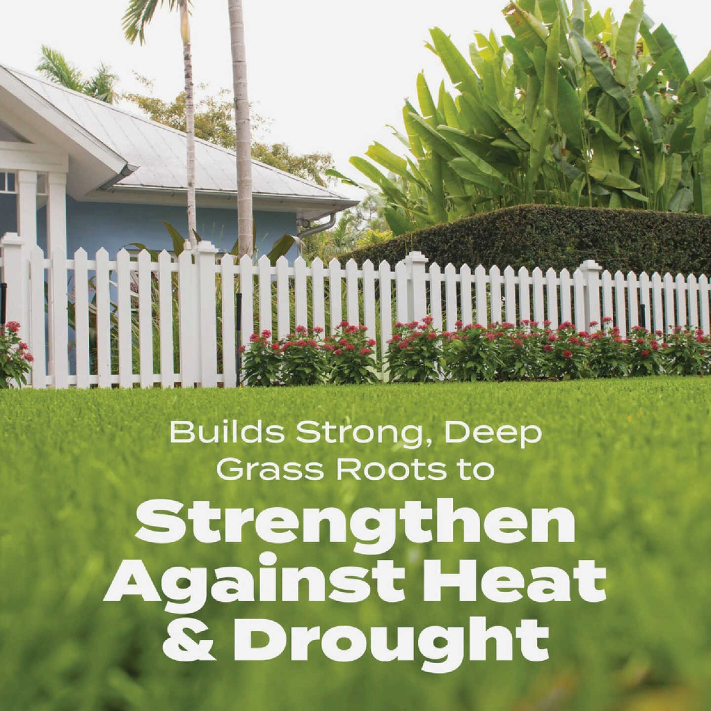 Scotts Turf Builder Bonus S Southern Weed & Feed2 18.62 Lb. 5000 Sq. Ft. Weed Killer Plus Lawn Fertilizer Image 6