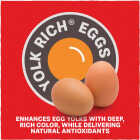 Kent Home Fresh Extra Egg Layer 50 Lb. Crumble Feed Image 6