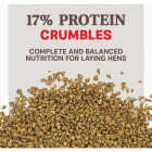 Kent Home Fresh Extra Egg Layer 50 Lb. Crumble Feed Image 2
