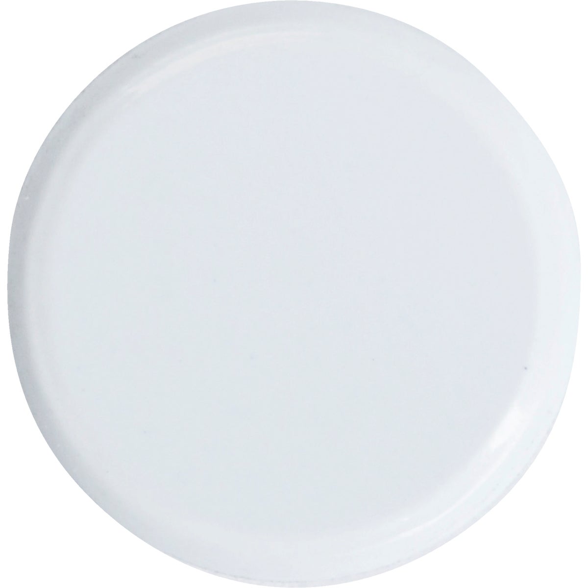 Hillman Anchor Wire White 23/64 In. x 15/64 In. Thumb Tack (40-Count) Image 3