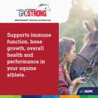 GroStrong 5 Lb. Horse Mineral Image 4