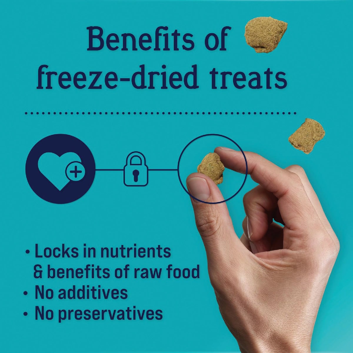 Stewart 4 Oz. Zen Beef & Pumpkin with Passionflower Freeze-Dried Dog Treats Image 3