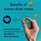 Stewart 4 Oz. Zen Beef & Pumpkin with Passionflower Freeze-Dried Dog Treats Image 3