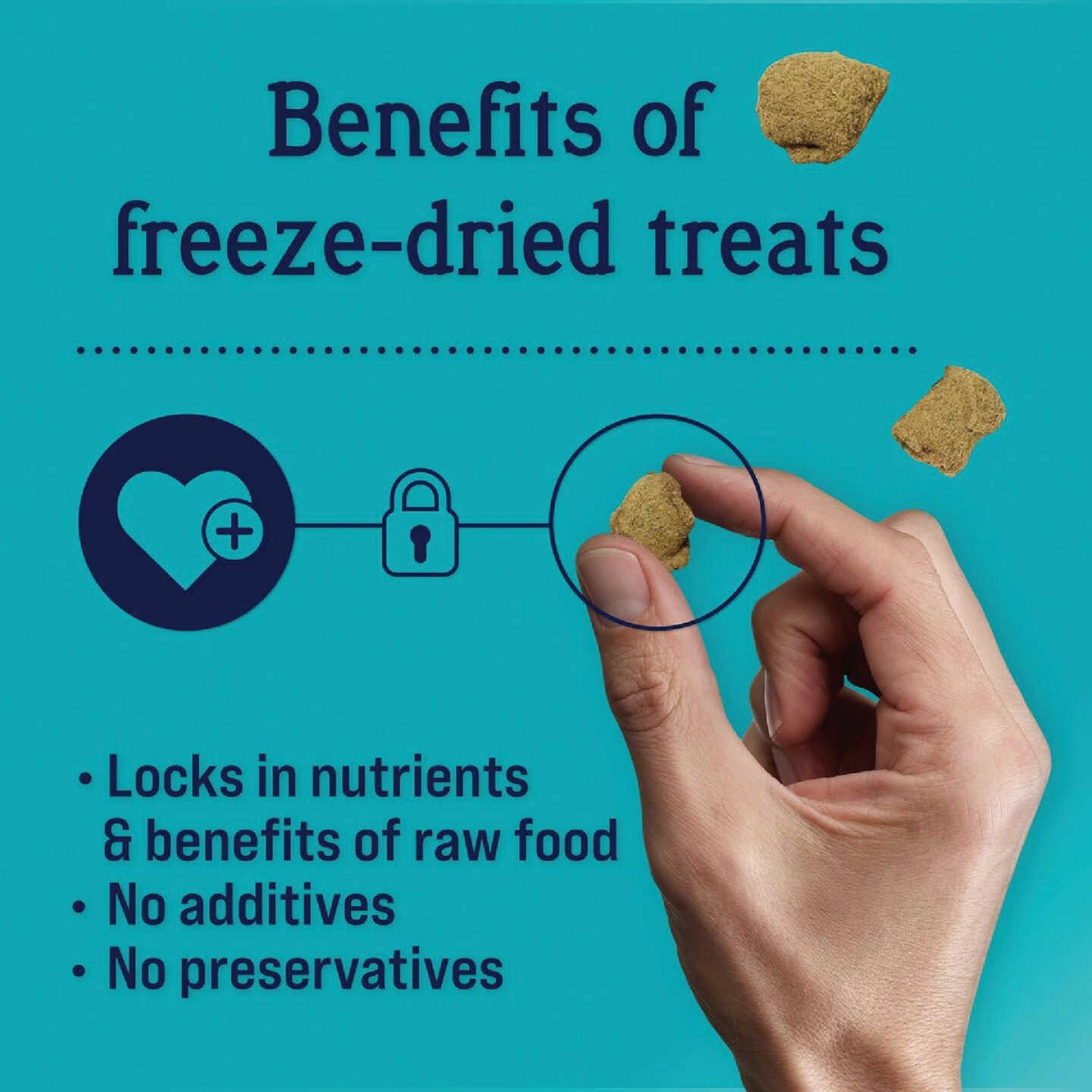 Stewart 4 Oz. Zen Beef & Pumpkin with Passionflower Freeze-Dried Dog Treats Image 3