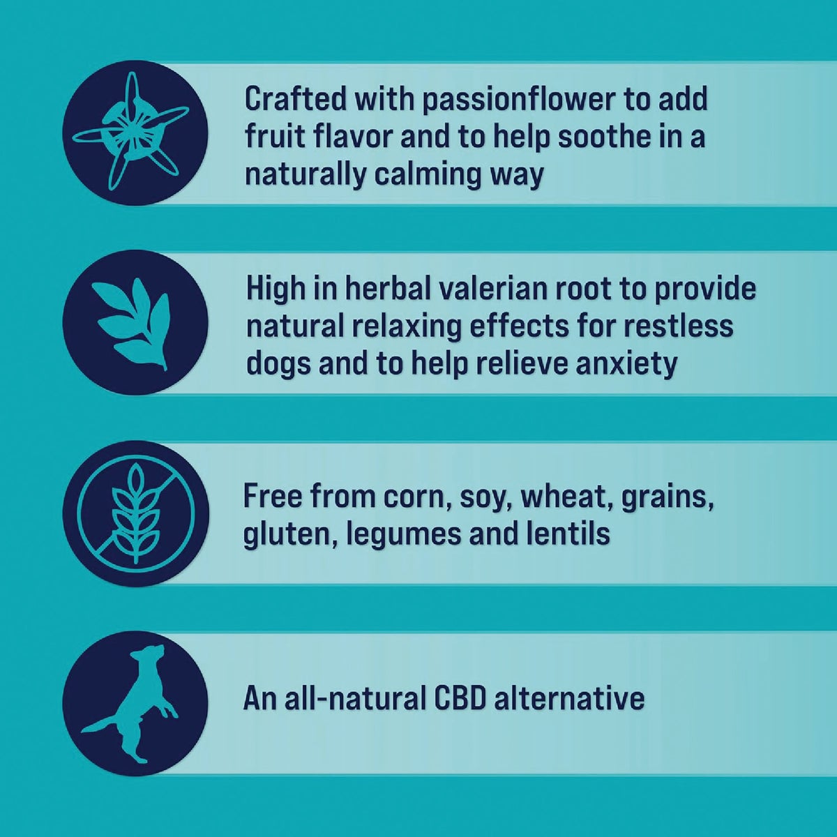 Stewart 4 Oz. Zen Beef & Pumpkin with Passionflower Freeze-Dried Dog Treats Image 4