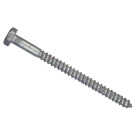 Hillman 1/2 In. x 5 In. Galvanized Hex Lag Screw (25 Ct.) Image 1