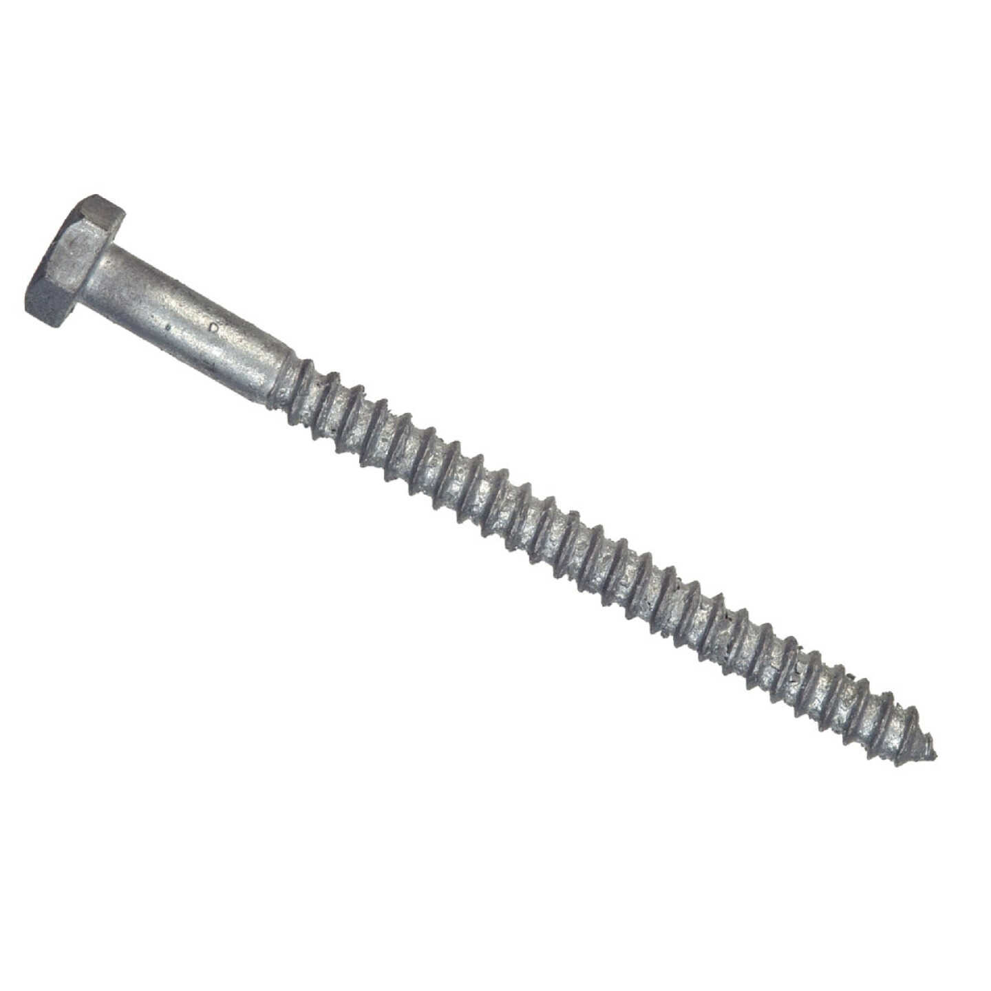 Hillman 1/2 In. x 5 In. Galvanized Hex Lag Screw (25 Ct.) Image 1