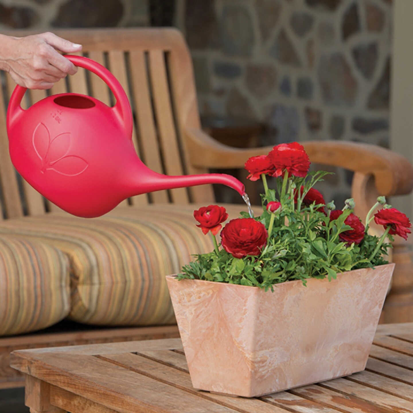 Novelty Root & Vessel 1/2 Gal. Red Deluxe Watering Can Image 2
