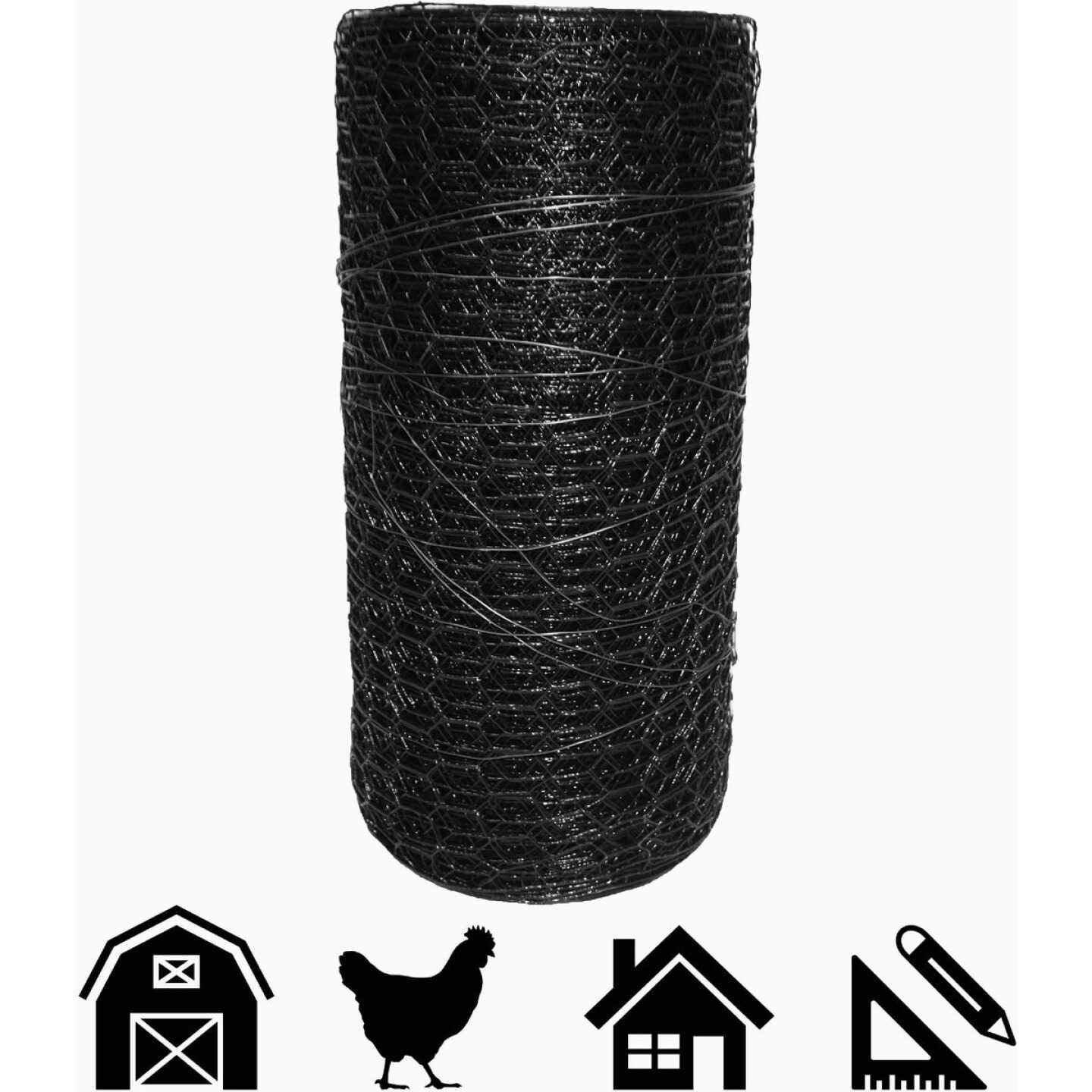 Acorn 1 In. x 36 In. H. x 150 Ft. L. Hexagonal Vinyl-Coated Wire Poultry Netting Image 3