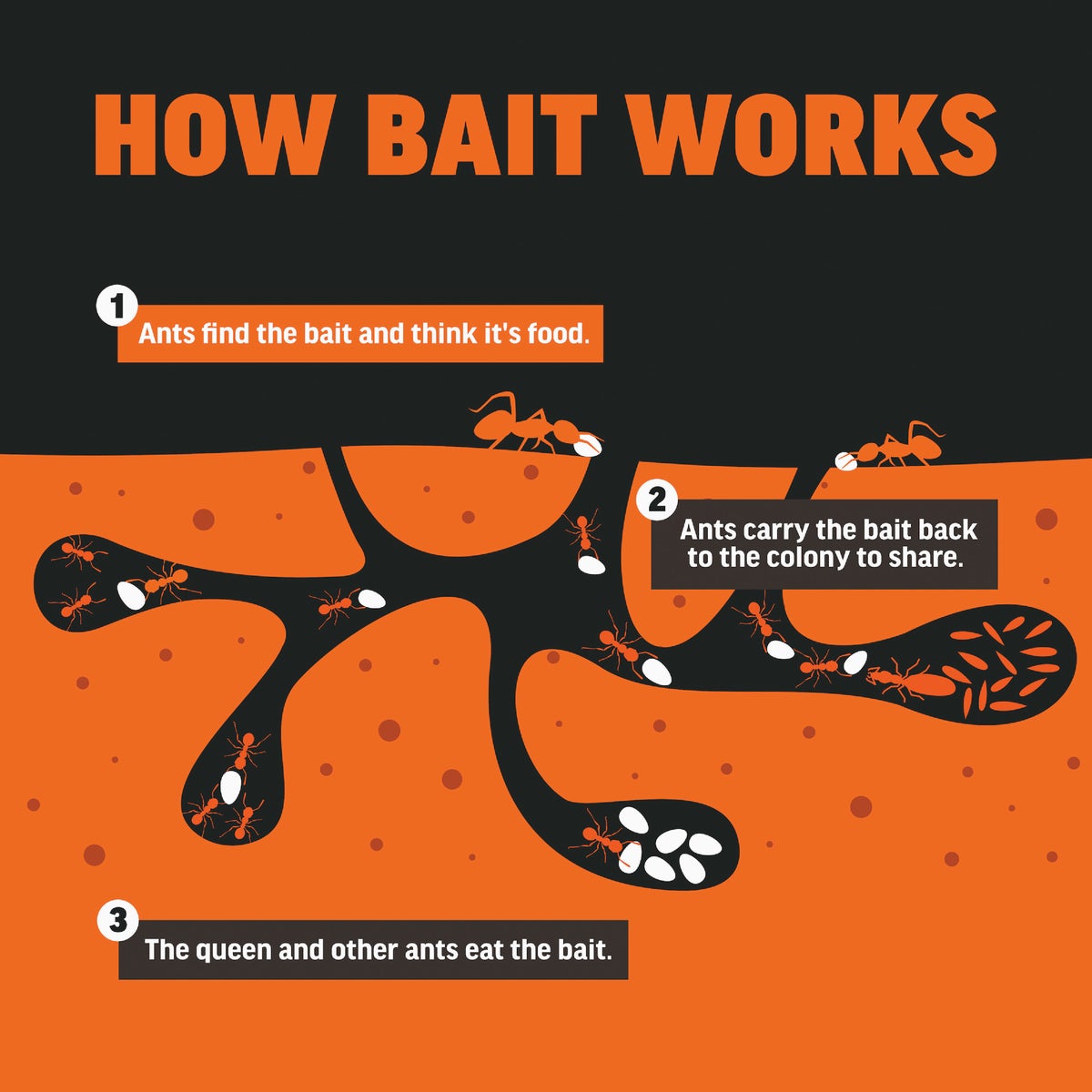 Amdro 6 oz. Ready To Use Granules Fire Ant Killer Image 6