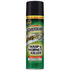 Spectracide 18.5 Oz. Aerosol Spray Wasp & Hornet Killer3 Image 1
