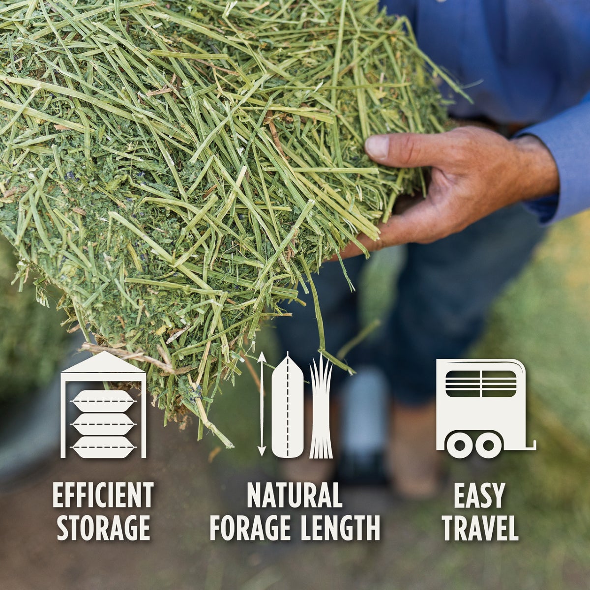 Standlee 50 Lb. Premium Timothy Compressed Bale Image 2