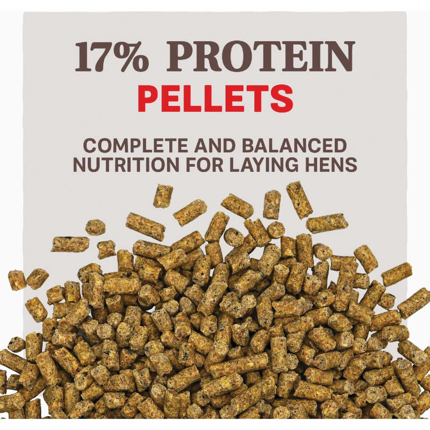 Kent Home Fresh Extra Egg Layer + Omega 50 Lb. Pellet Feed Image 2