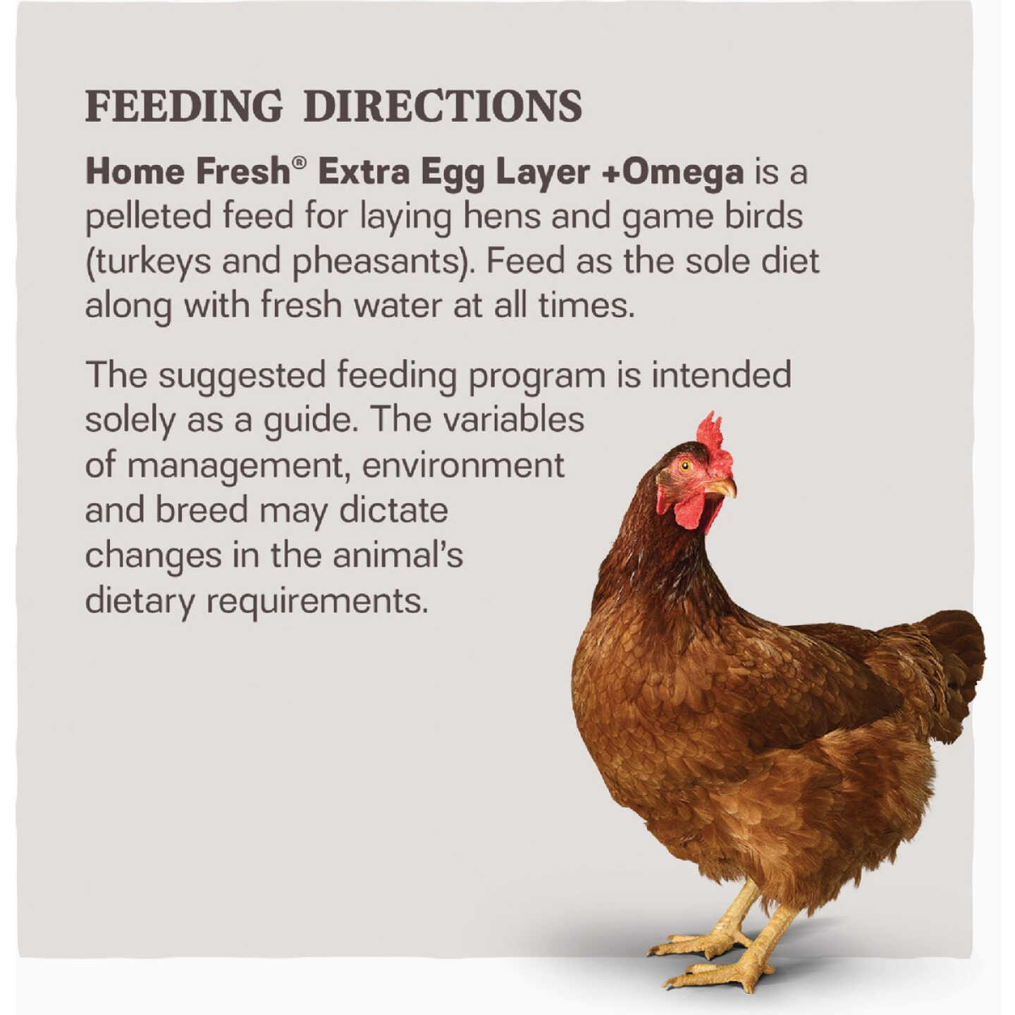 Kent Home Fresh Extra Egg Layer + Omega 50 Lb. Pellet Feed Image 3