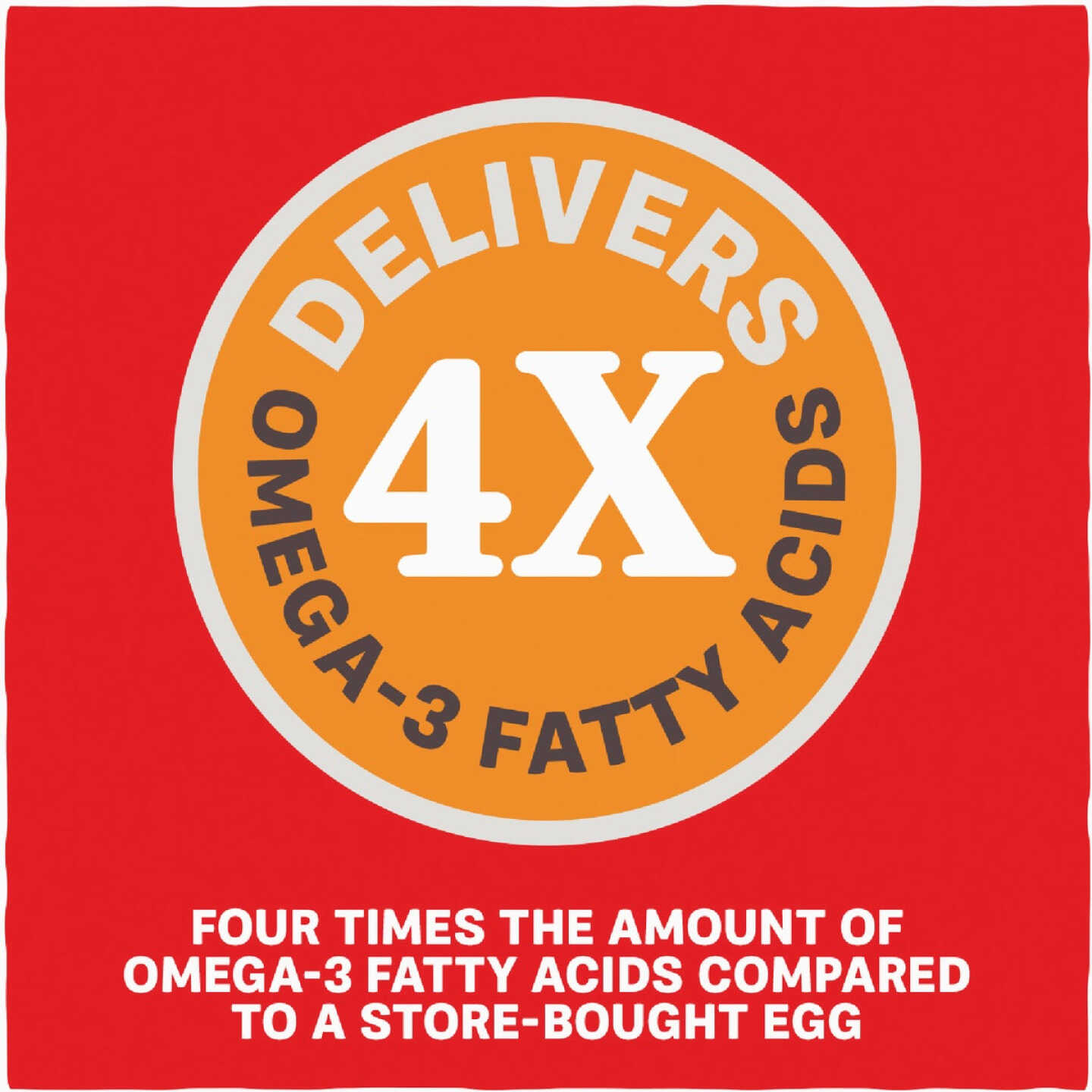 Kent Home Fresh Extra Egg Layer + Omega 50 Lb. Pellet Feed Image 5