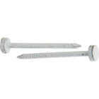 Do it 1-1/2 In. 10 ga Hot Galvanized Roofing Nails (107 Ct., 1 Lb.). Image 1