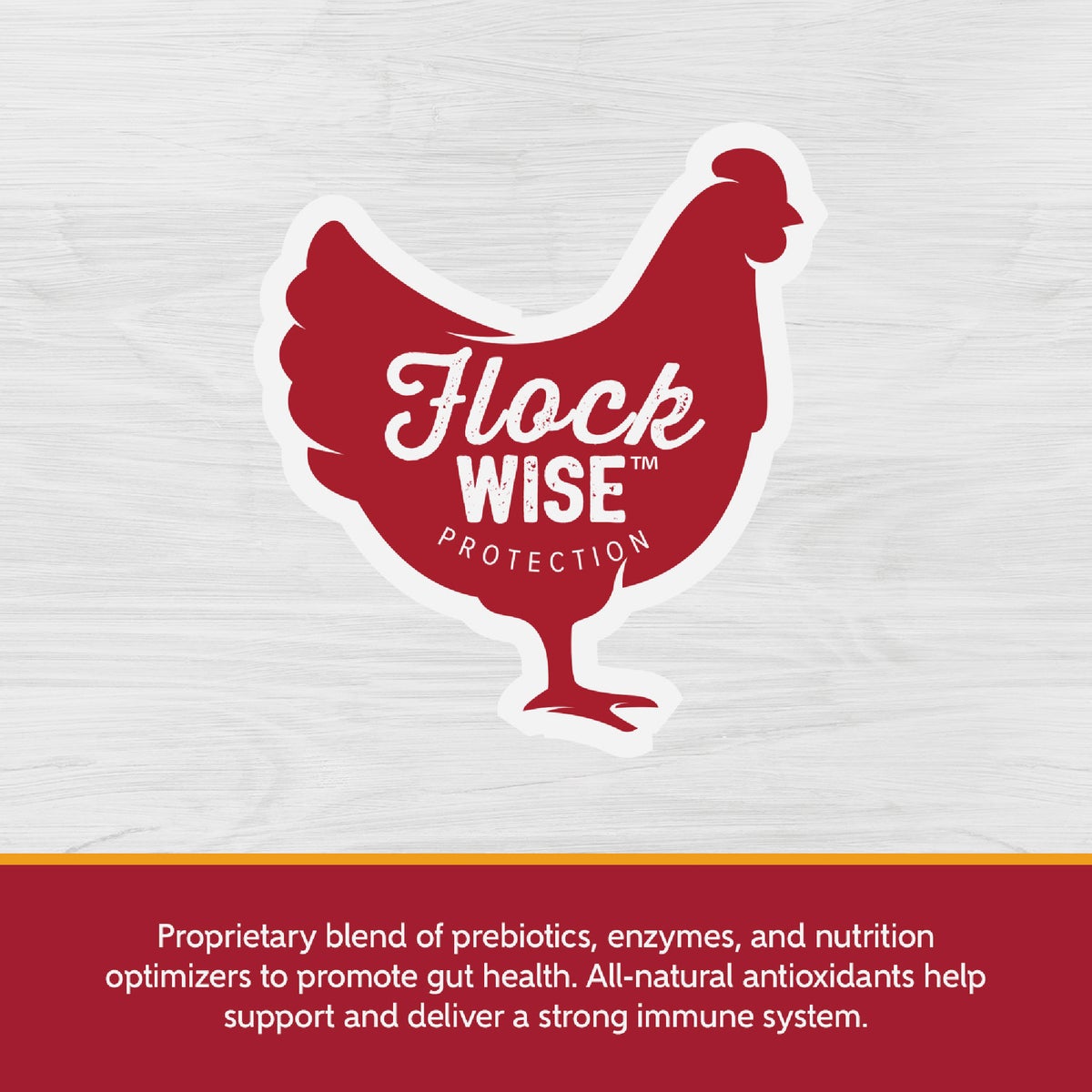 Kent Home Fresh Extra Egg Layer + Omega 50 Lb. Crumble Feed Image 3