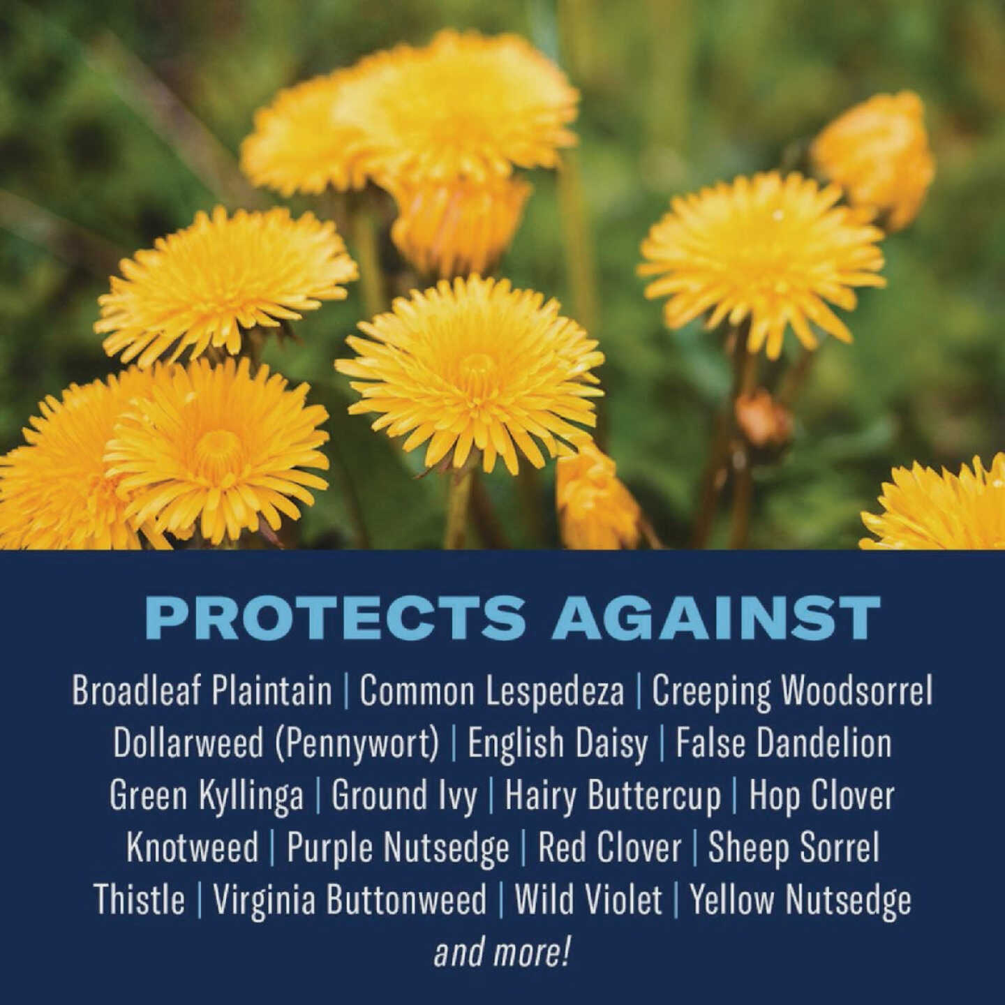 BioAdvanced 3-In-1 20 Lb. Southern Weed & Feed Image 2