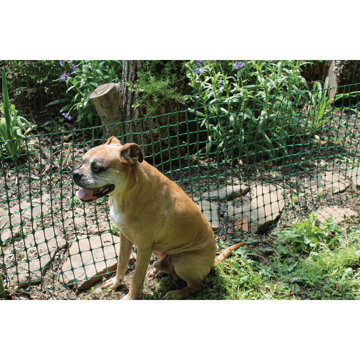 Tenax 2 Ft. H. x 25 Ft. L. High-Density Polyethylene Garden Fence, Green Image 3