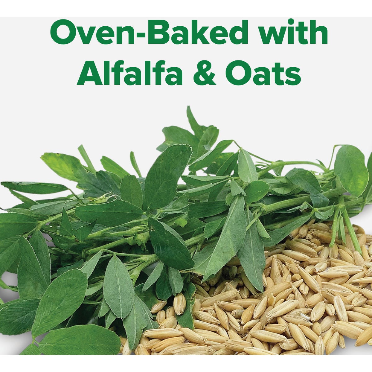 Kent Rounders 30 Oz. Alfalfa & Oats Horse Treats Image 3