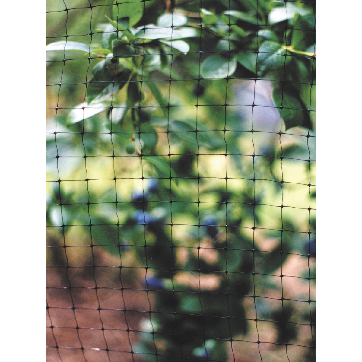 Tenax 3/4 In. x 3/4 In. Mesh 7 Ft. x 100 Ft. Black Plant & Pond Net Image 5