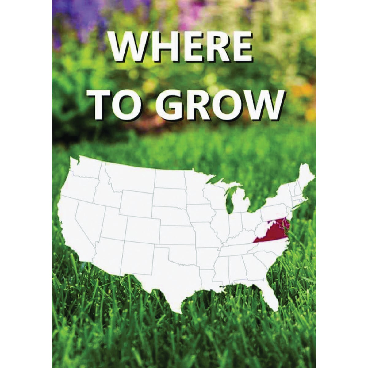 Jonathan Green Black Beauty Delmarva 7 Lb. 2150 Sq. Ft. Coverage Tall Fescue Grass Seed Image 2