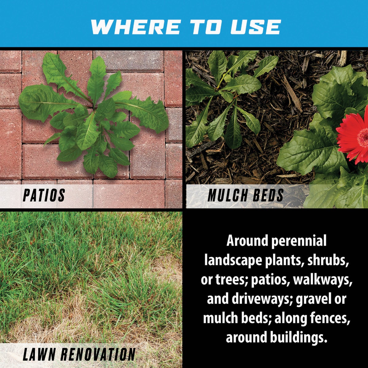 Ortho GroundClear 32 Oz. Super Concentrate Weed & Grass Killer Image 5