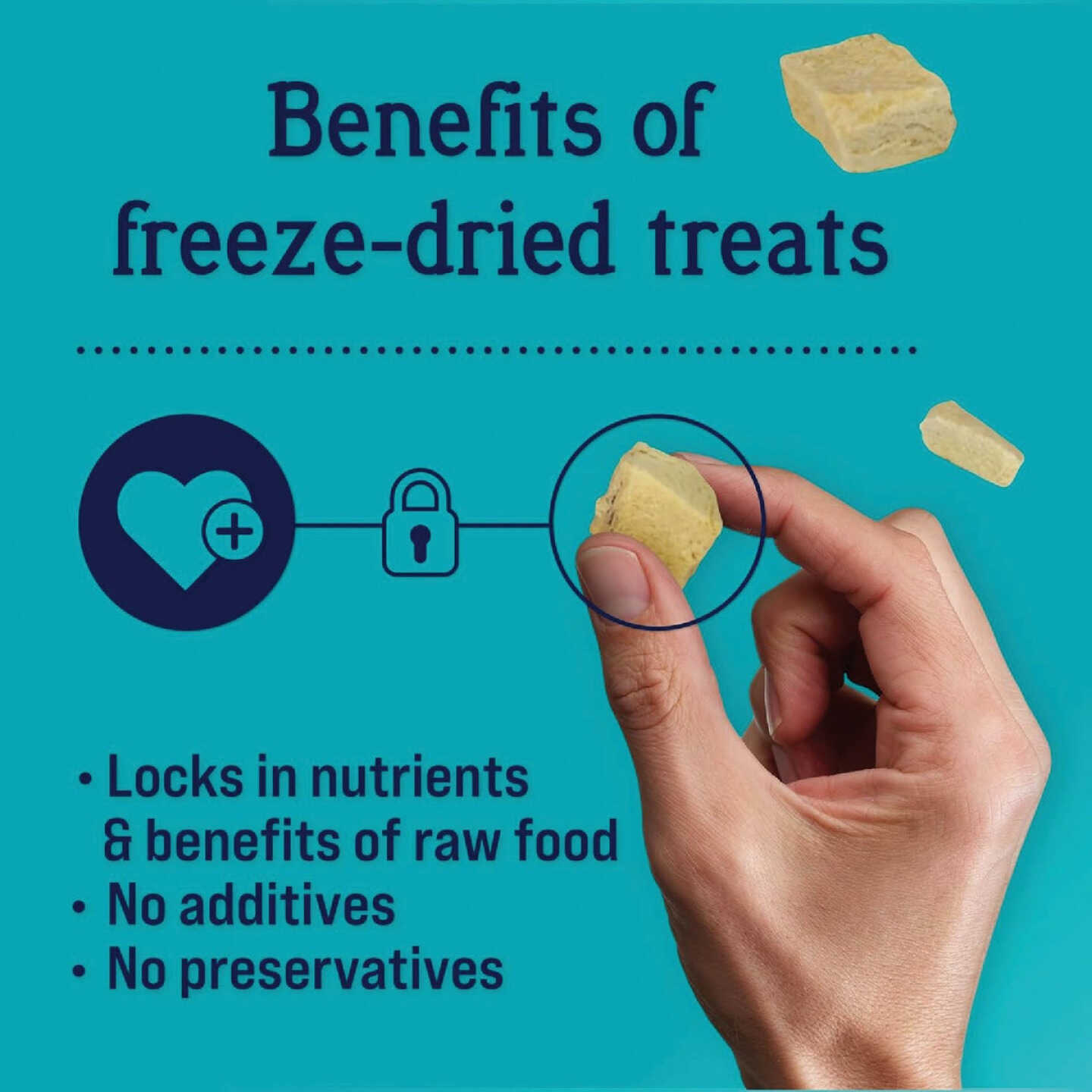 Stewart 11.5 Oz. Freeze-Dried Chicken Breast Dog Treats Image 4