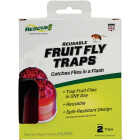 Rescue Reusable Fruit Fly Trap (2-Pack) Image 16