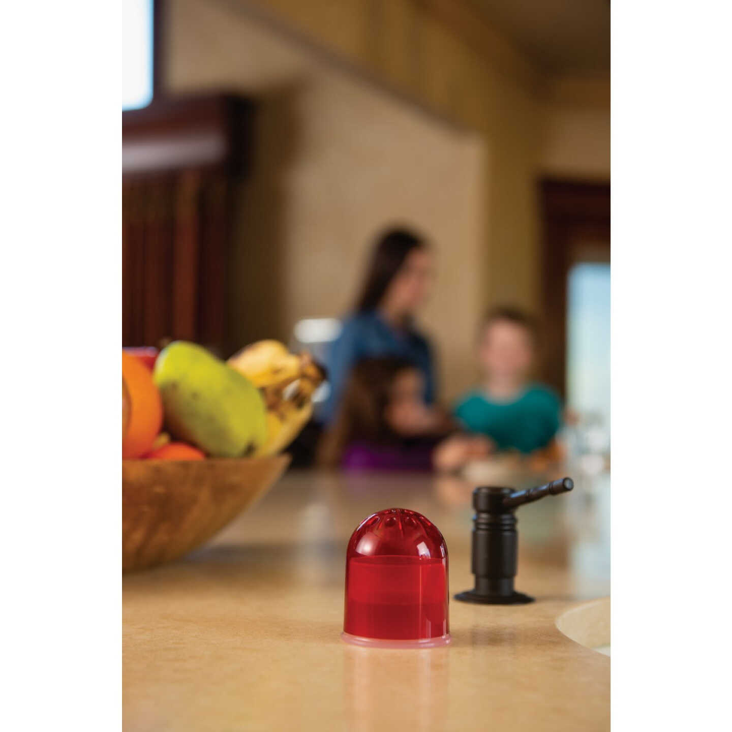 Rescue Reusable Fruit Fly Trap (2-Pack) Image 8