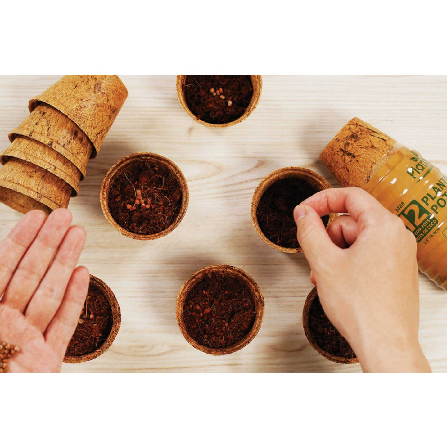 PlantBest 2.5 In. Coconut Coir Plantable Pot (12-Pack) Image 2