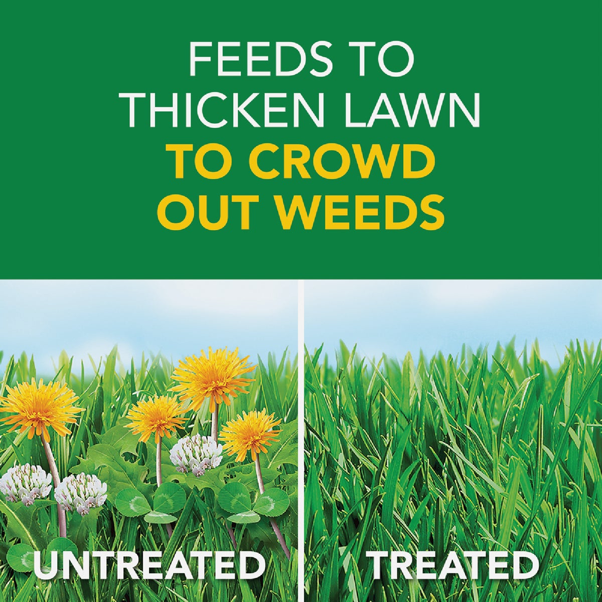 Scotts Turf Builder Weed & Feed 35.7 Lb. 12,000 Sq. Ft. Weed Killer Plus Lawn Fertilizer Image 2