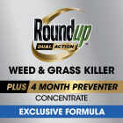 Roundup Dual Action 32 Oz. 1600 Sq. Ft. Concentrate Weed & Grass Killer Image 2