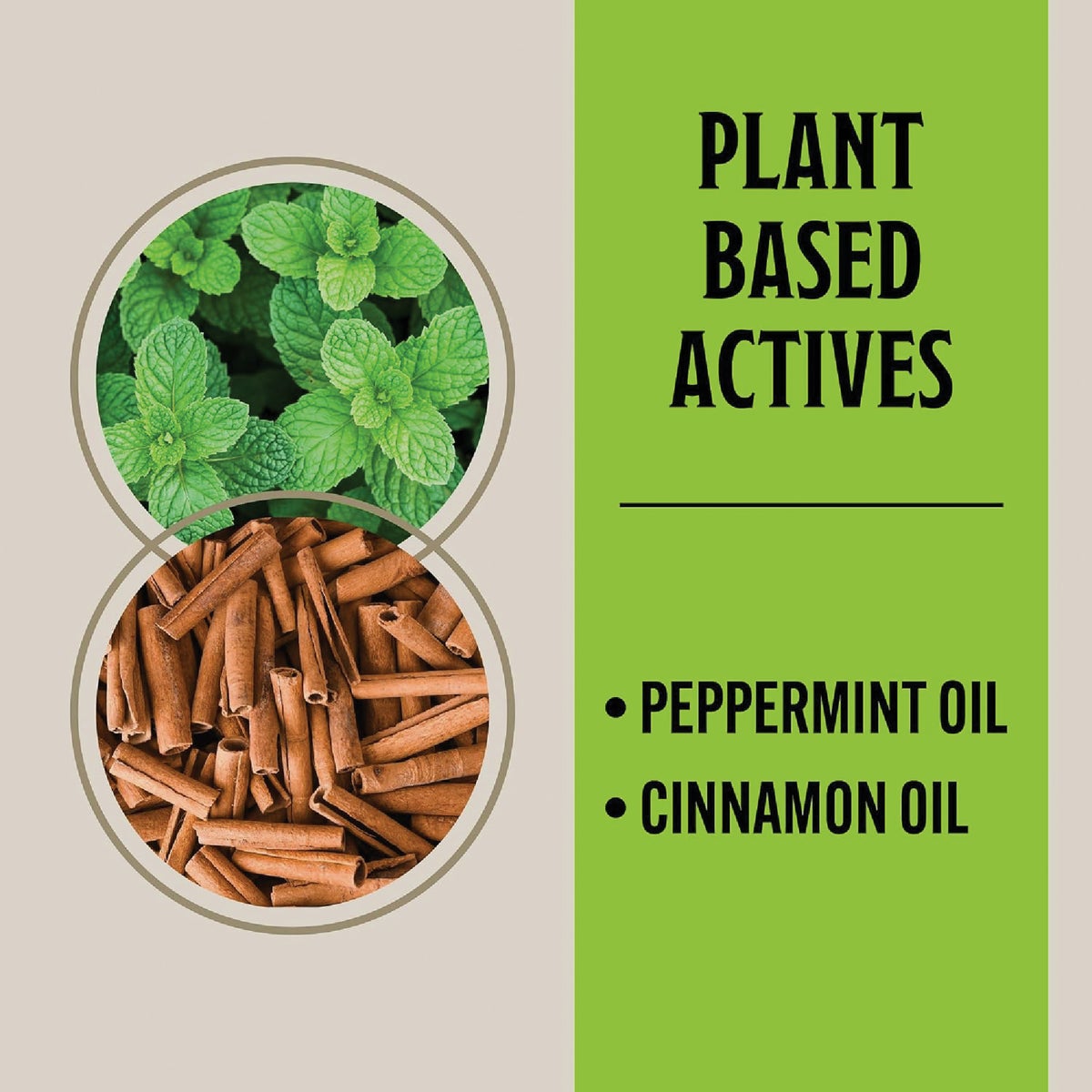 Grandpa Gus's Granular All Natural Mouse Repellent Pouch (30-Pack) Image 4