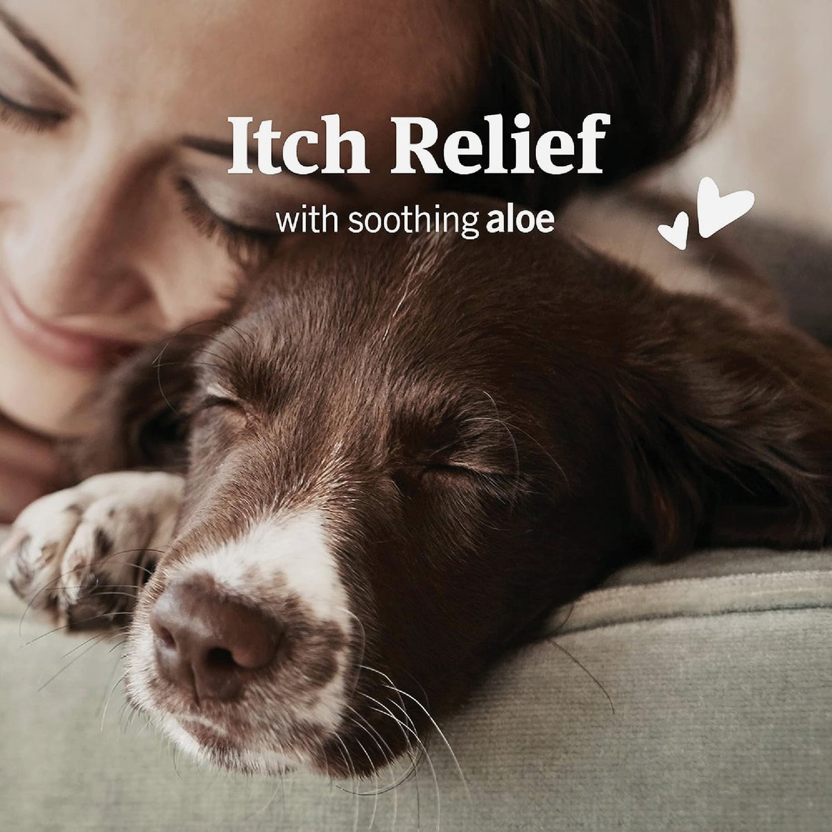 PetArmor 3 Oz. Ear Mite & Tick Treatment for Dogs Image 3