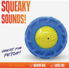 Nerf Dog 3 In. TPR EXO Micro Squeak Ball Image 2