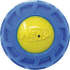 Nerf Dog 3 In. TPR EXO Micro Squeak Ball Image 5