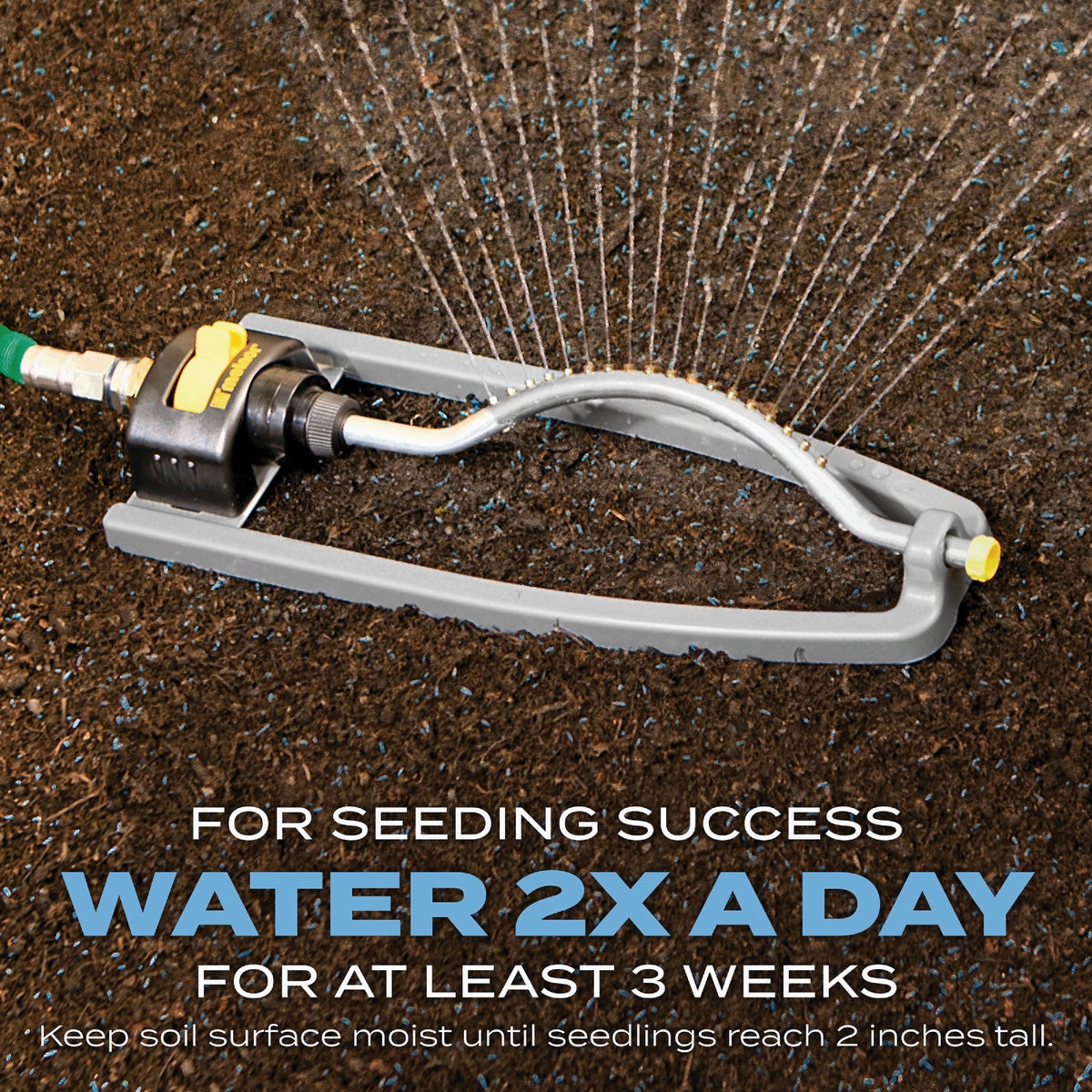 Scotts Turf Builder 2.4 Lb. 200 Sq. Ft. Kentucky Bluegrass Mix Grass Seed, Fertilizer, and Soil Improver Combination Image 7