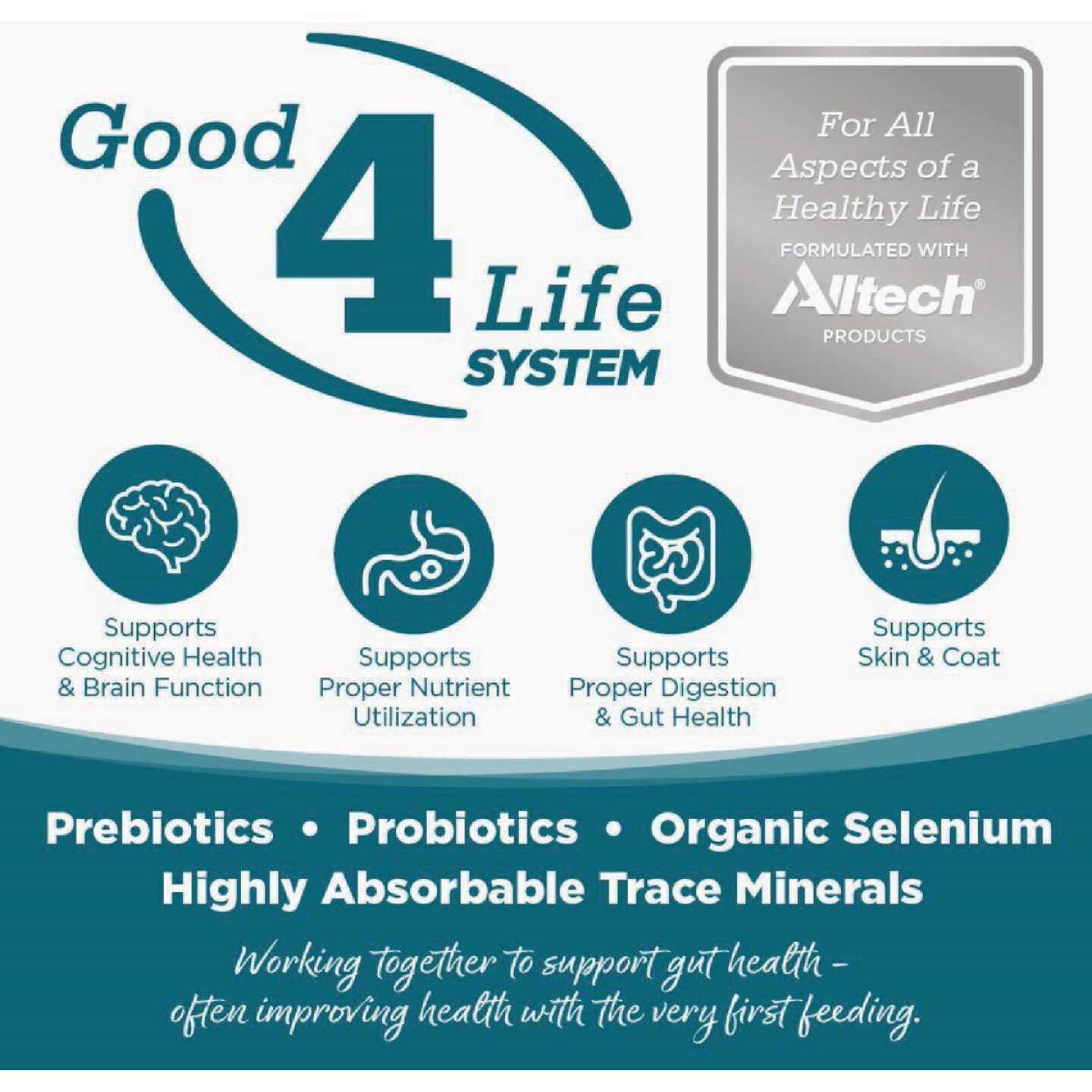 NutriSource 26 Lb. Chicken & Rice Recipe Large Breed Puppy Food Image 6