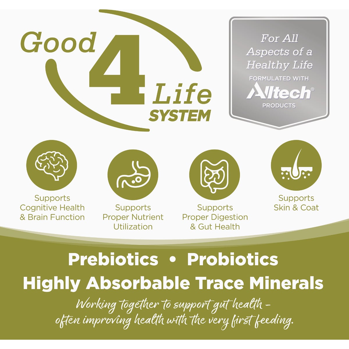 NutriSource 4 Lb. Senior & Weight Management Dry Cat Food Image 2