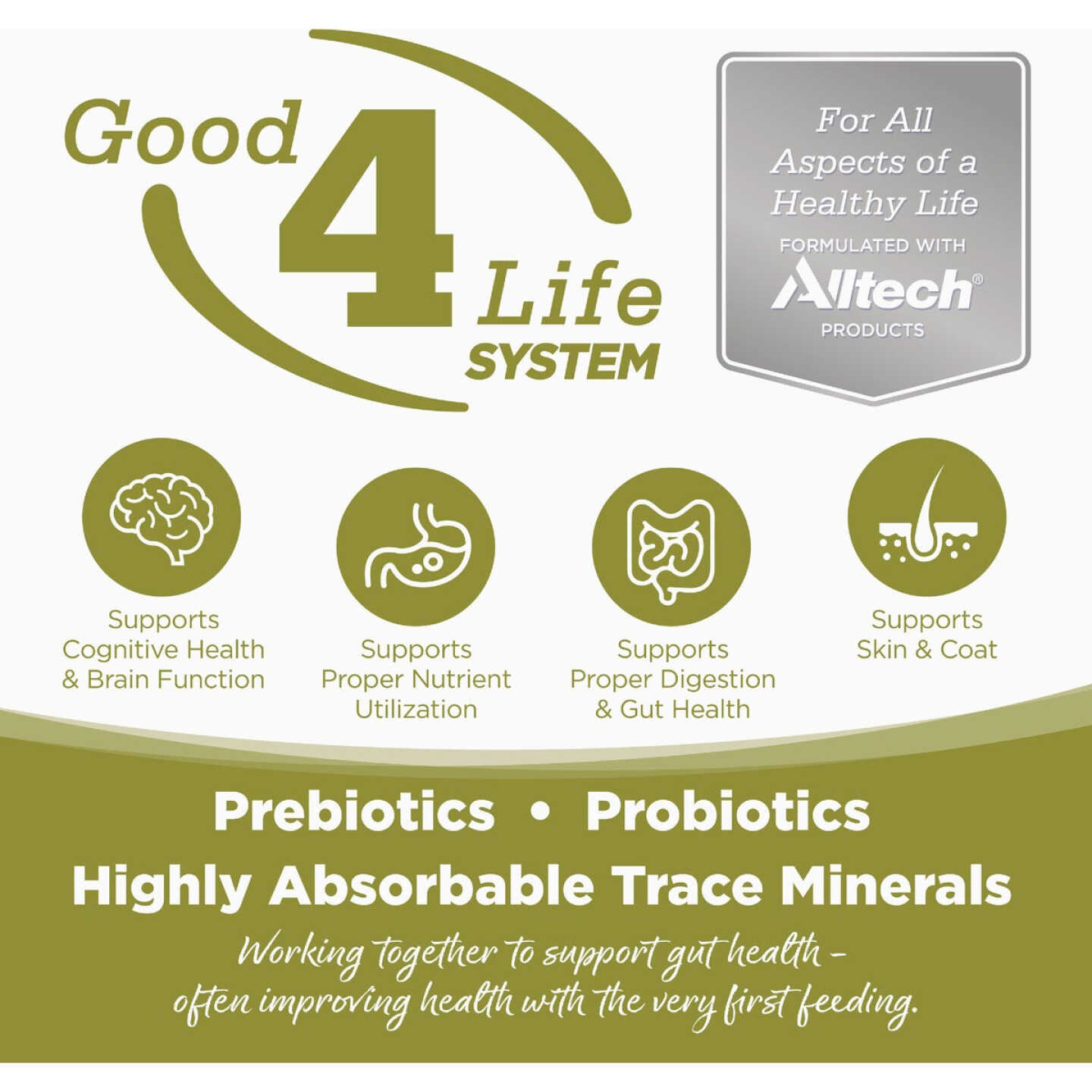 NutriSource 4 Lb. Senior & Weight Management Dry Cat Food Image 2