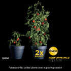 Miracle-Gro Performance Organics 1 Cu. Ft. All Purpose Container Mix Image 3