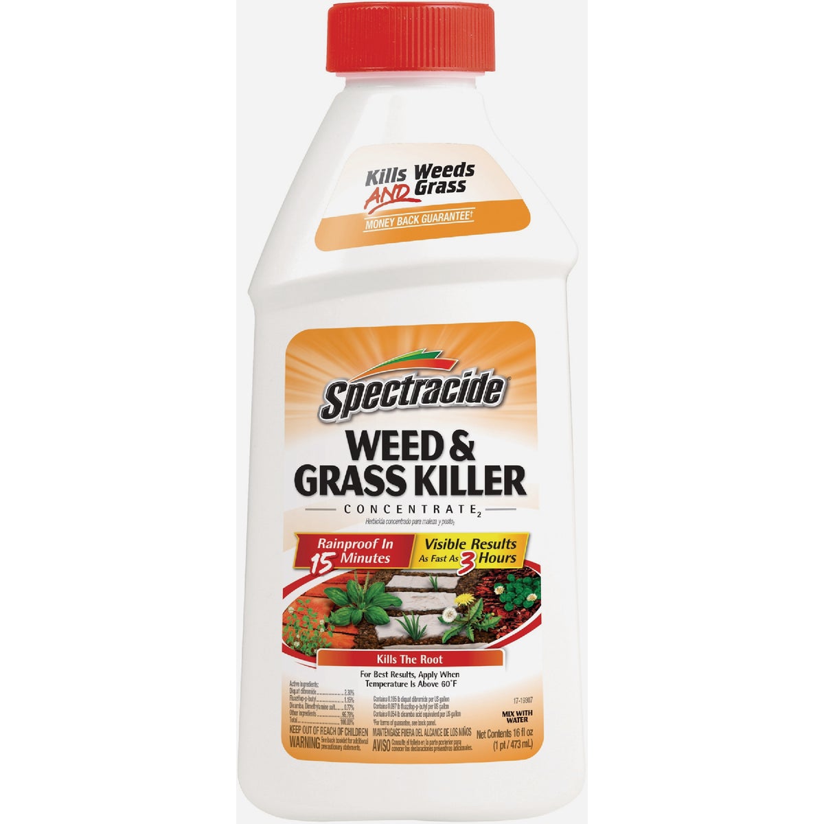 Spectracide Weed & Grass Killer2 16 Oz. Concentrate