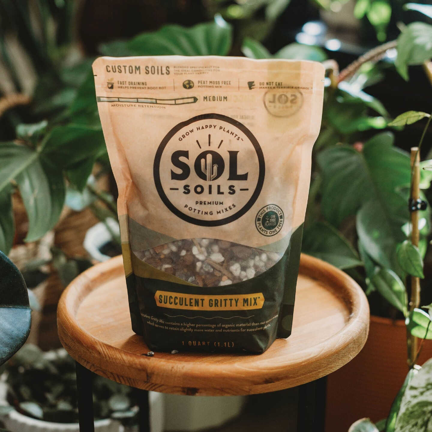 Sol Soils 1 Qt. Succulent Gritty Mix Image 5