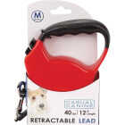 Boss Pet Casual Canine 12 Ft. Blue Medium Belted Retractable Lead Image 2