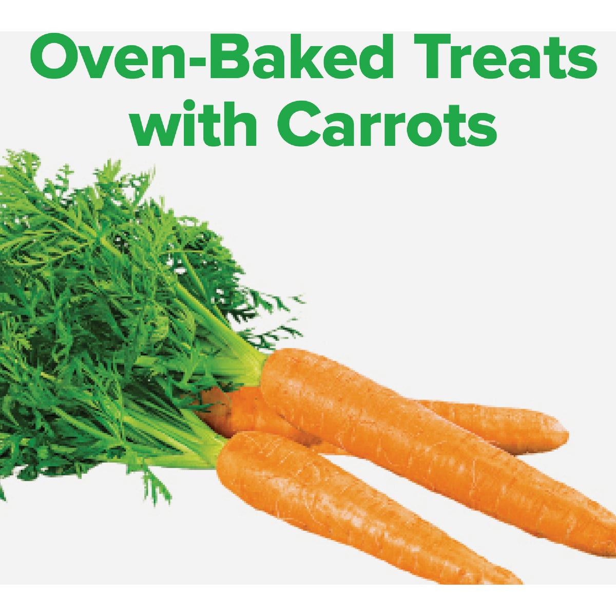 Kent Rounders 30 Oz. Carrot Horse Treats Image 2