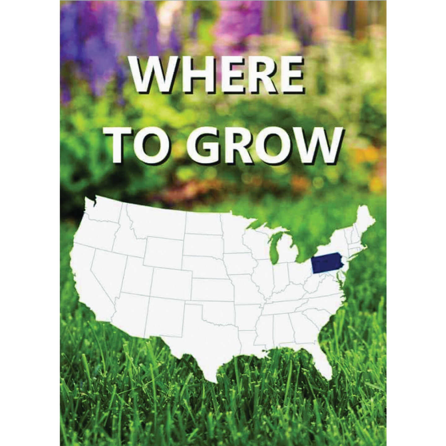 Jonathan Green Black Beauty Keystone 7 Lb. 5250 Sq. Ft. Coverage Tall Fescue Grass Seed Image 2